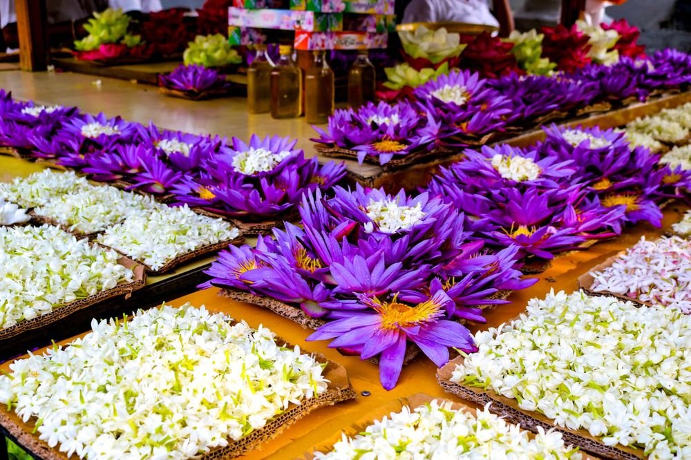 Water lilies prepared as temple offerings, Sri Lanka